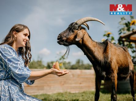 Prodej pozemku pro komerční výstavbu, 4 292 m²