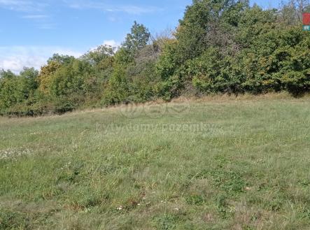 Prodej - pozemek, trvalý travní porost, 13 227 m²