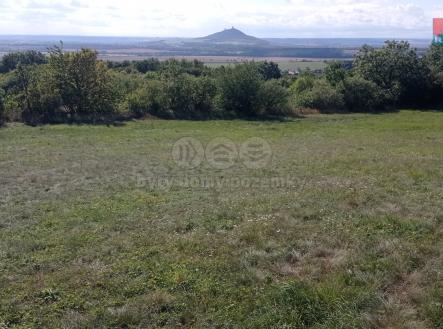 Prodej - pozemek, trvalý travní porost, 13 227 m²