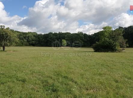 Prodej - pozemek, trvalý travní porost, 16 692 m²