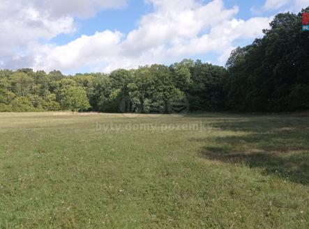 Prodej - pozemek, trvalý travní porost, 16 692 m²