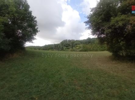 Prodej - pozemek, trvalý travní porost, 16 692 m²