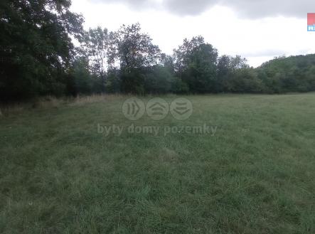 Prodej - pozemek, trvalý travní porost, 12 373 m²