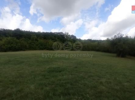 Prodej - pozemek, trvalý travní porost, 12 373 m²