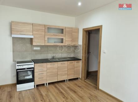 Pronájem bytu, 1+1, 60 m²