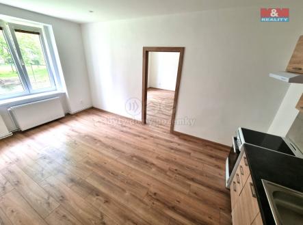 Pronájem bytu, 1+1, 60 m²