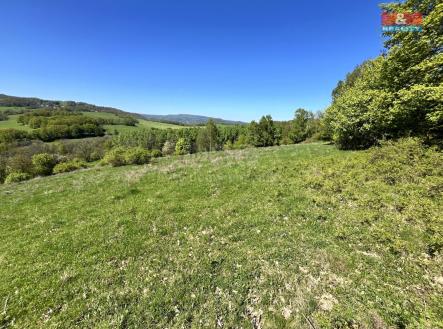 Prodej - pozemek, trvalý travní porost, 21 830 m²