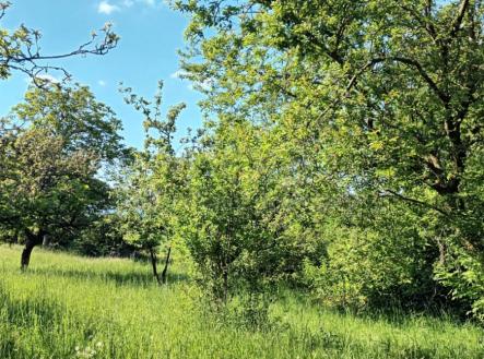 Prodej - pozemek, zemědělská půda, 912 m²
