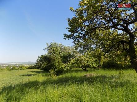Prodej - pozemek, zemědělská půda, 912 m²