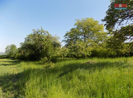 Prodej - pozemek, zemědělská půda, 912 m²