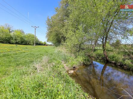Prodej - pozemek, trvalý travní porost, 4 590 m²