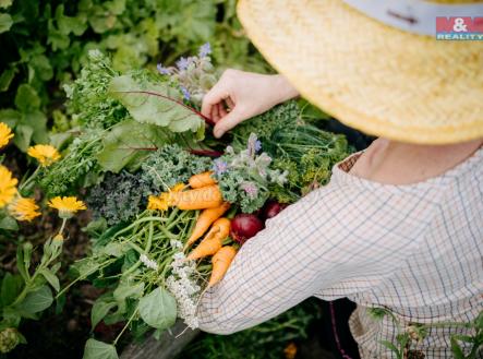 Prodej pozemku pro bydlení, 4 292 m²