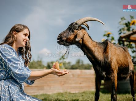 Prodej pozemku pro bydlení, 4 292 m²