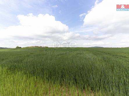 Prodej pozemku, zemědělská půda, 10 902 m²