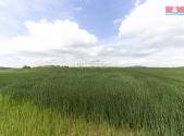 Prodej pozemku, zemědělská půda, 10 902 m²