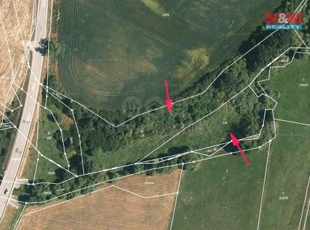 Prodej - pozemek, trvalý travní porost, 8 600 m²