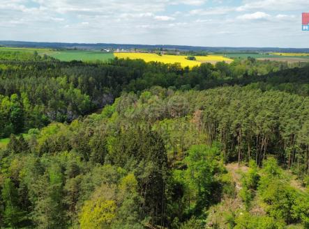 Prodej - pozemek, les, 79 857 m²