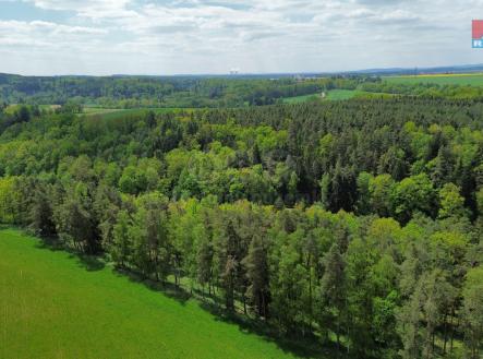 Prodej - pozemek, les, 79 857 m²
