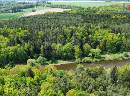 Prodej - pozemek, les, 79 857 m²