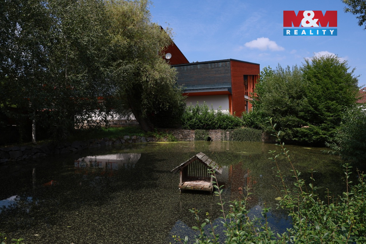 326A3837 ve velké velikosti.jpeg