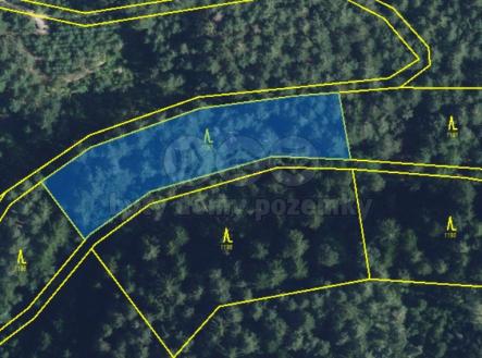 Prodej pozemku, les, 5 021 m²