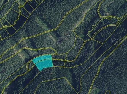 Prodej pozemku, les, 5 021 m²