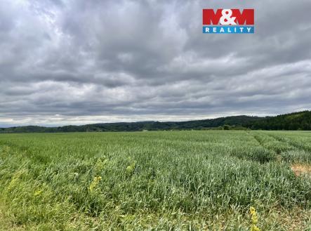 Prodej pozemku, zemědělská půda, 22 965 m²