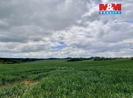 Prodej pozemku, zemědělská půda, 22 965 m²