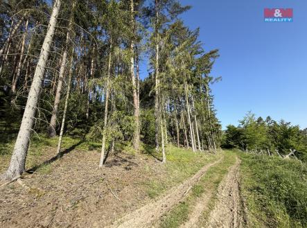 Prodej - pozemek, les, 23 184 m²