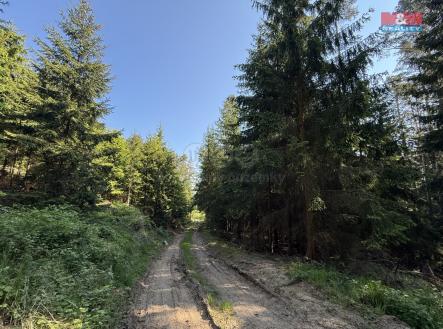 Prodej - pozemek, les, 23 184 m²