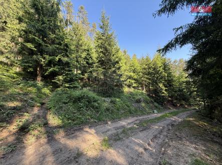 Prodej - pozemek, les, 23 184 m²