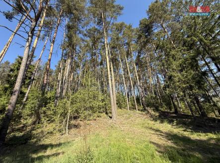 Prodej - pozemek, les, 23 184 m²