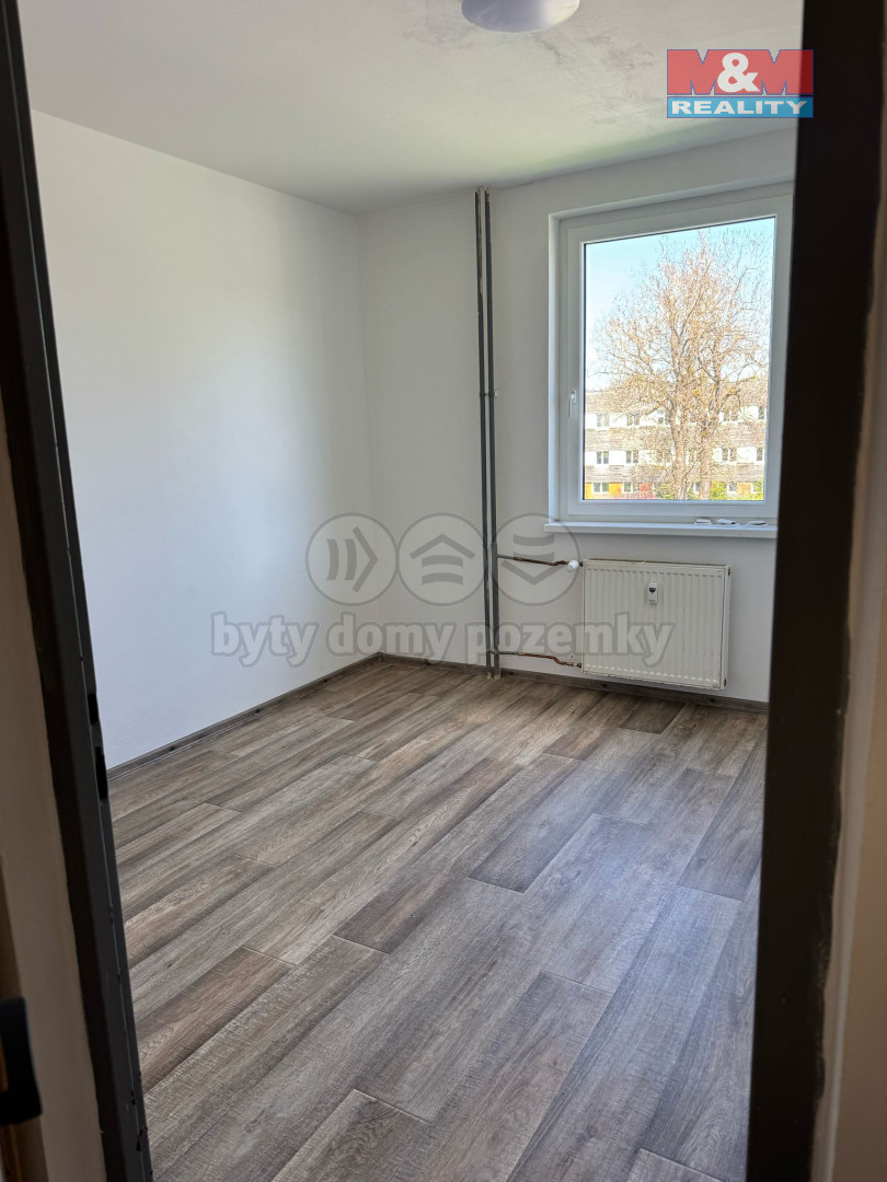 PHOTO-2025-05-21-09-22-00 2.jpg