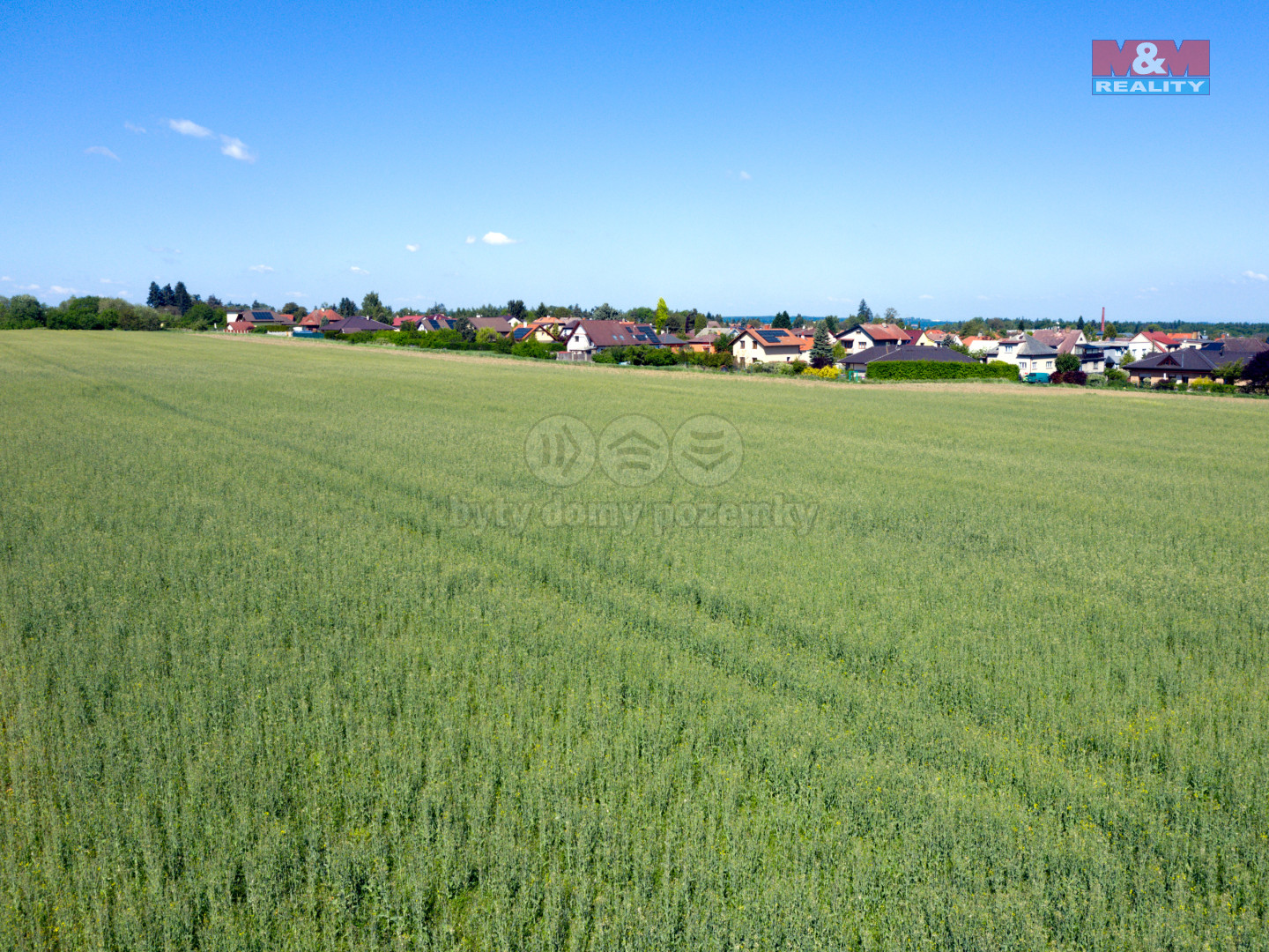 pole kostelec 05-25 (4).jpg