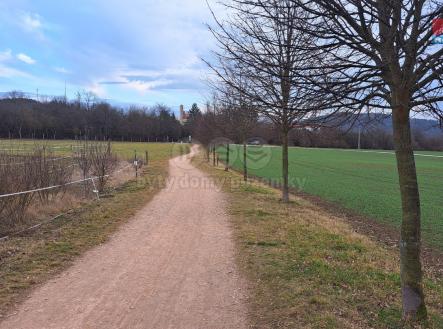 Prodej pozemku, zemědělská půda, 4 185 m²