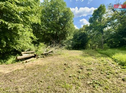 Prodej pozemku, zahrada, 2 923 m²