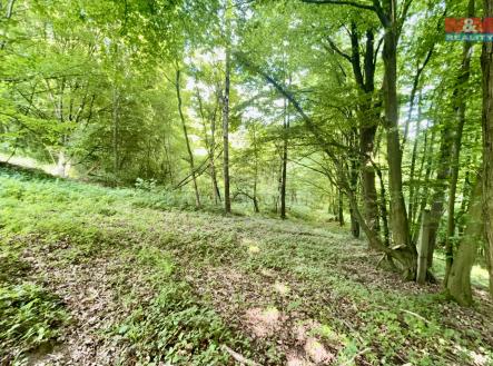 Prodej pozemku, zahrada, 2 923 m²