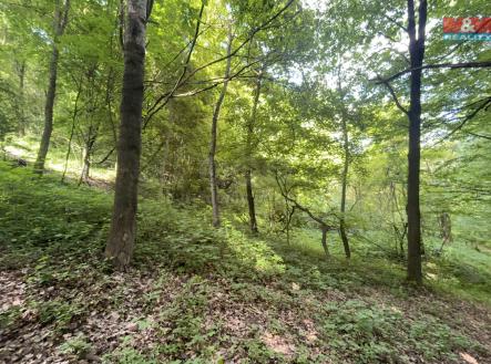 Prodej pozemku, zahrada, 2 923 m²