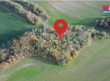 Prodej pozemku, les, 5 803 m²