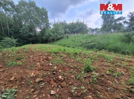 Prodej pozemku pro bydlení, 2 559 m²