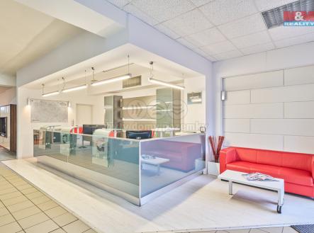 Pronájem obchodní prostor, 327 m²