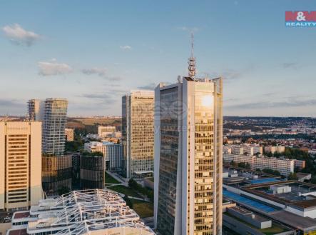 Pronájem kanceláře, 906 m²