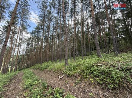 Prodej pozemku, les, 3 372 m²