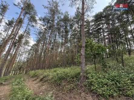 Prodej pozemku, les, 3 372 m²