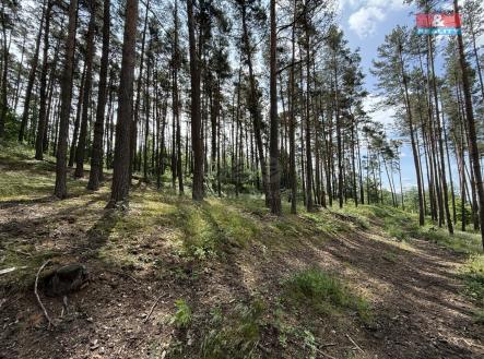 Prodej pozemku, les, 3 372 m²