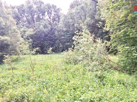 Prodej pozemku, trvalý travní porost, 8 523 m²