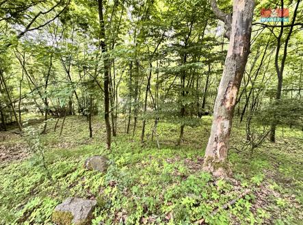 Prodej - pozemek, zahrada, 333 m²