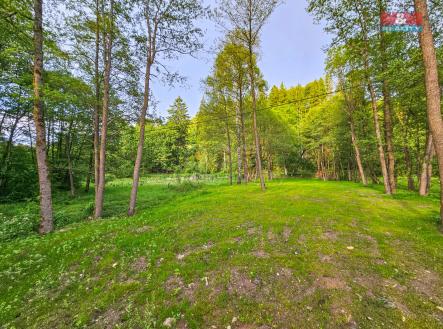 Prodej - pozemek pro bydlení, 1 925 m²