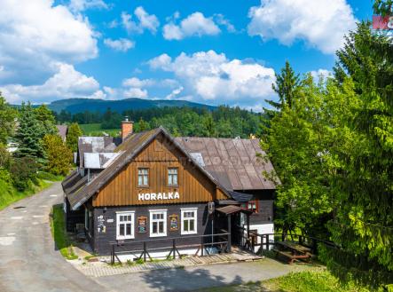 Prodej - hotel, 374 m²