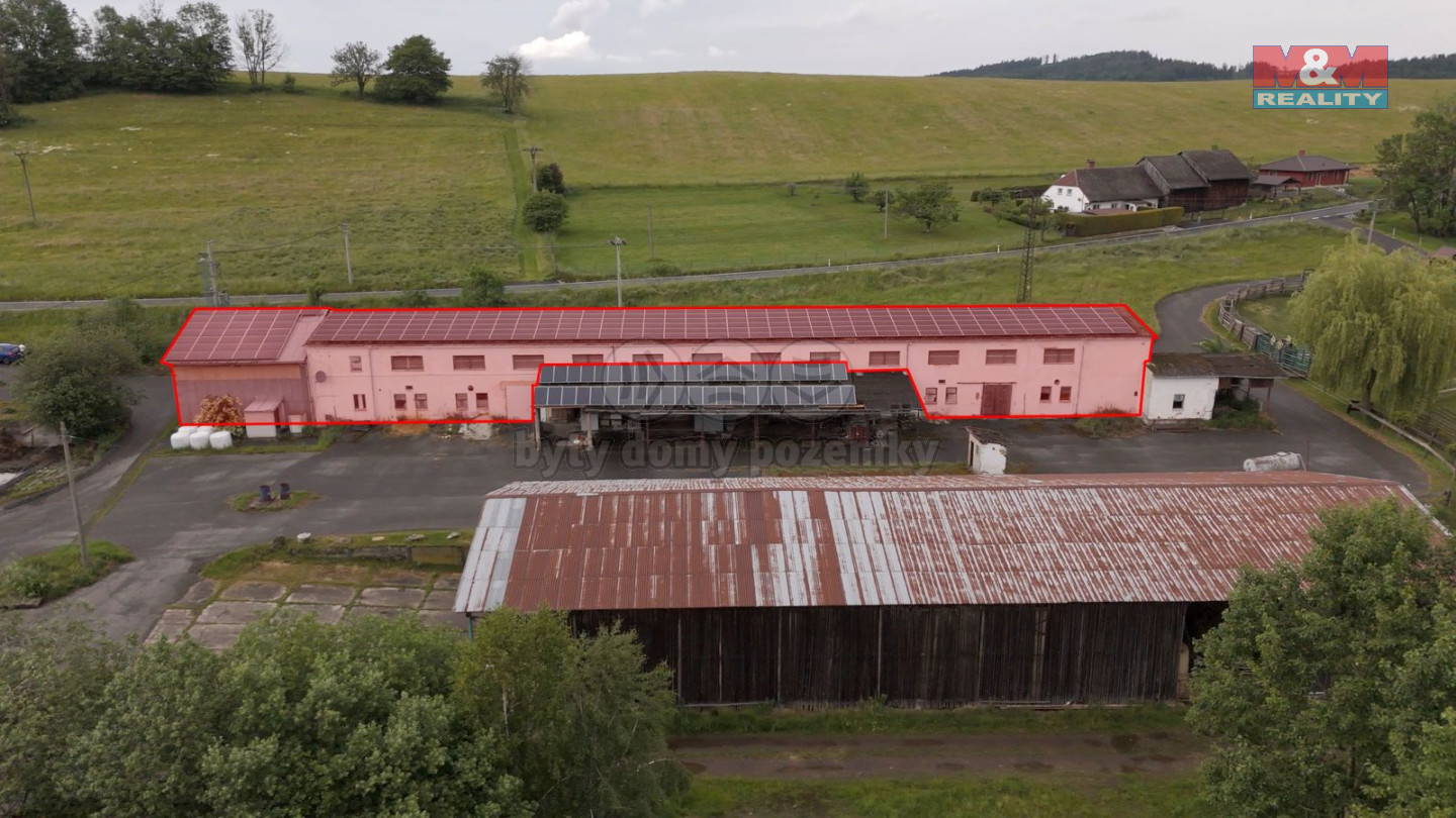 WhatsApp Image 2025-06-05 at 17.08.54.jpeg